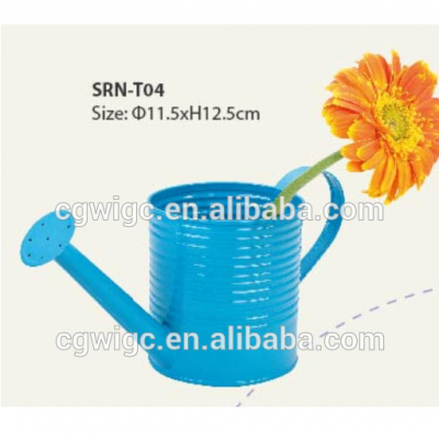 small size kids garden metal watering can